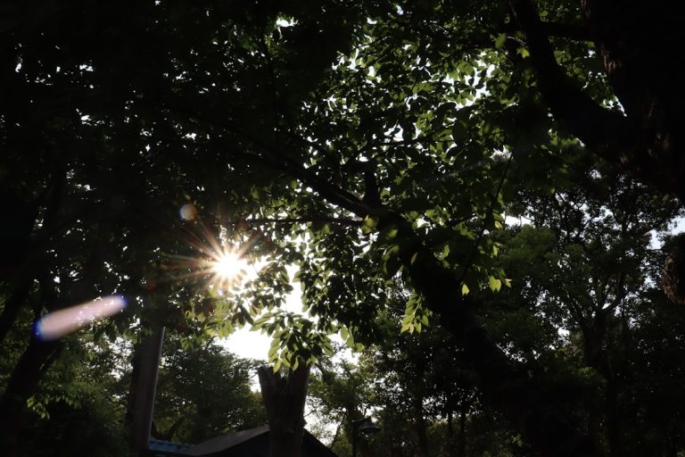 Luces solares de jardín impermeables para exteriores