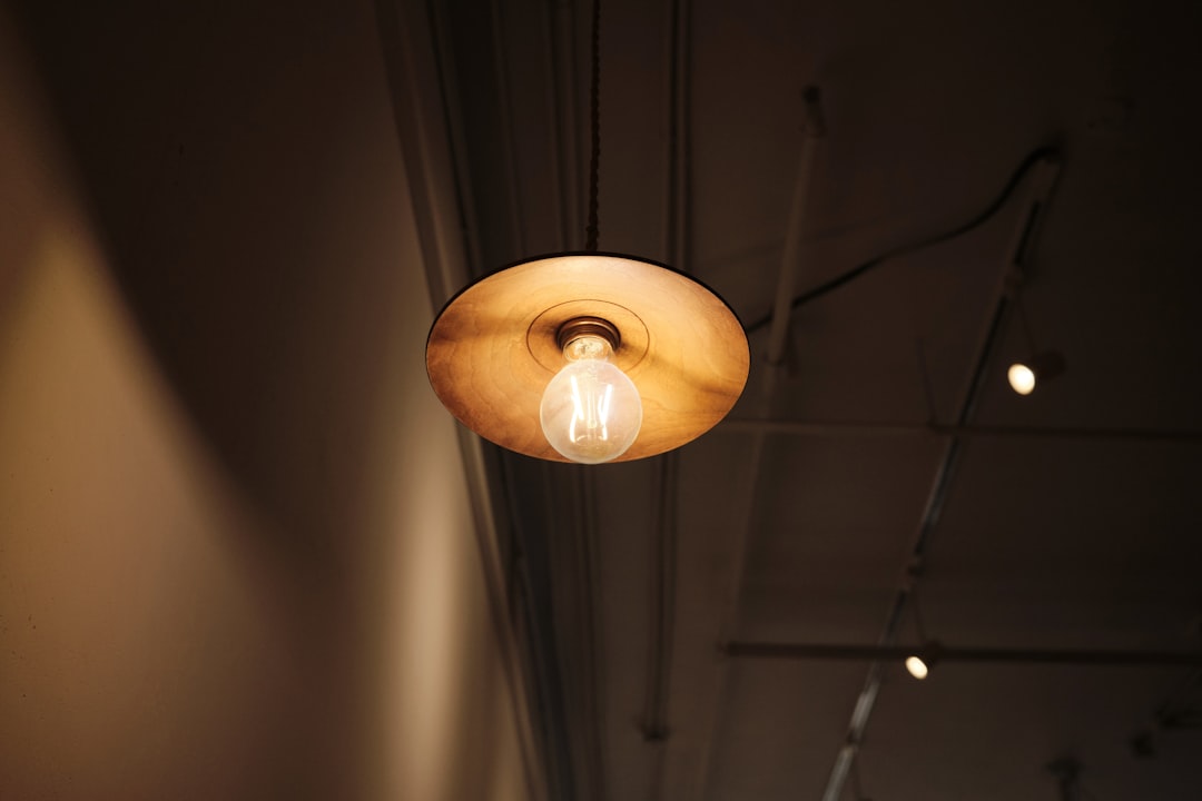 Photo LED pendant light