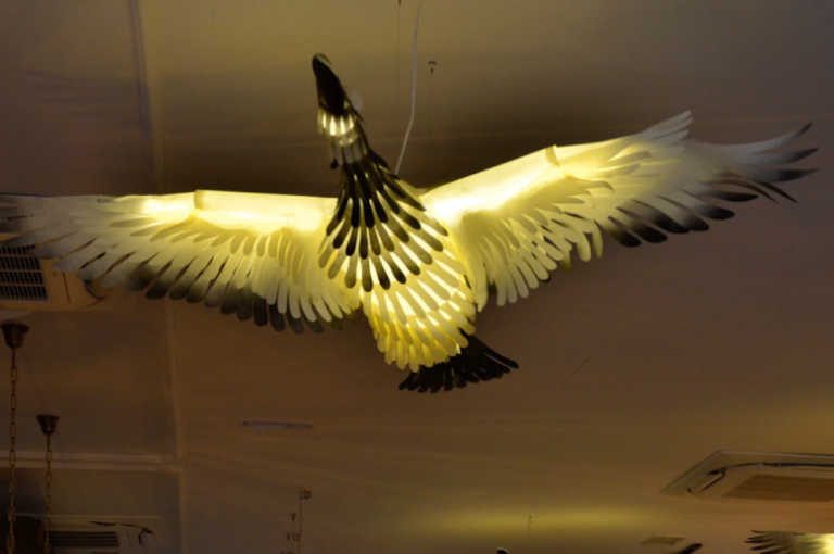 Iluminación divertida para rincones de lectura en bibliotecas con temática de aves